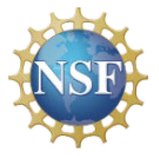 NSF Logo