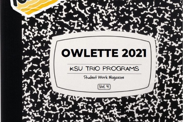 Owlette 2021